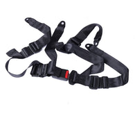 Seat Belt