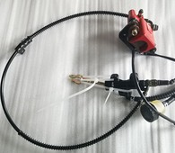Rear Brake Assy