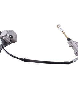 Rear Brake Assembly