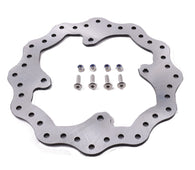 Rear Brake Rotor Assembly