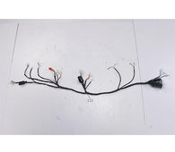 Main Wire Harness
