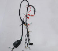 Wire Harness