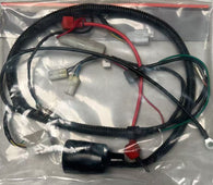 Main Wire Harness