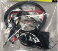Main Wire Harness