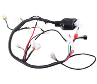 Main Wire Harness