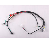 Main Wire Harness
