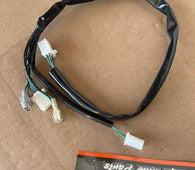 Main Wire Harness