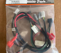 Main Wire Harness