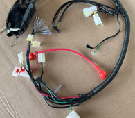Main Wire Harness