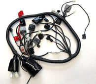 Main Wire Harness