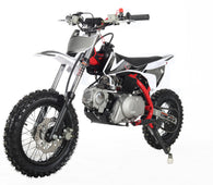 Free Shipping! X-PRO X12 110cc Dirt Bike with Automatic Transmission, Electric Start, 12"/10" Wheels!