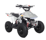 Free Shipping! X-PRO Falcon 40cc ATV with Chain Transmission, Pull start! Disc Brake! 6in Tires!