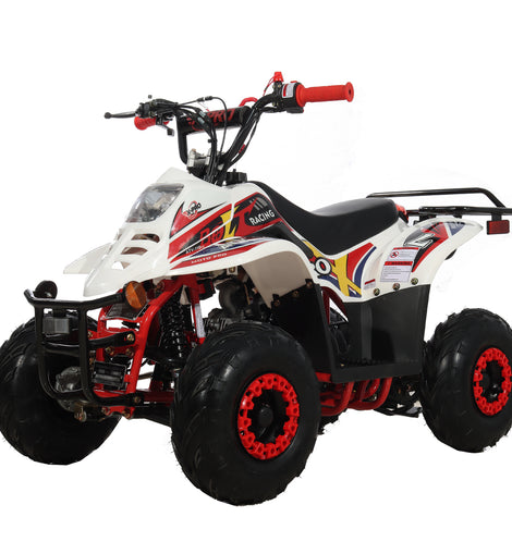 Free shipping! X-PRO Bolt 110cc ATV with Automatic Transmission, with Remote Control! Rear Rack!