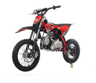 Free Shipping! X-PRO X29 110cc K013 Dirt Bike with Automatic Transmission, Electric Start, Big 14"/12" Tires! Cradle Type Steel Tube Frame!