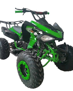 Free Shipping! X-PRO Panther 200cc Sports ATV with Automatic Transmission with Reverse, LED Headlights, Big 23"/22" Tires!