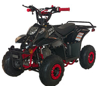 Free shipping! X-PRO  Eagle 110cc  ATV with Automatic Transmission, with Remote Control! Rear Rack!