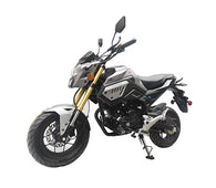 Free Shipping! X-PRO Condor150cc Street Motorcycle with 5-Speed Manual Transmission, Electric/Kick Start! 12" Wheels!