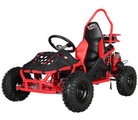 Free shipping! X-PRO Rover 50 49cc Go Kart with Pull Start, Rear Disc Brake, 6" Wheels!